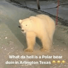 wadahell